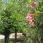 Ξενοδοχείο La Chaumiere D Agde