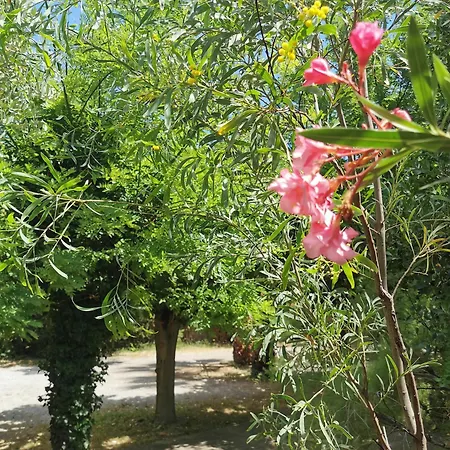 Ξενοδοχείο La Chaumiere D Agde