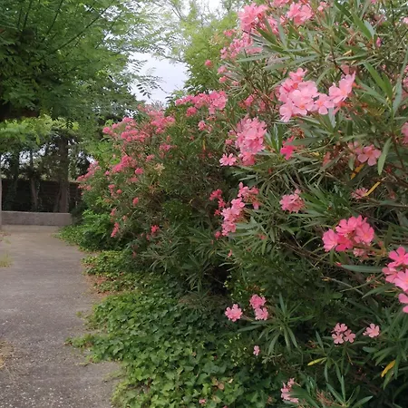 Hotel La Chaumiere D Agde